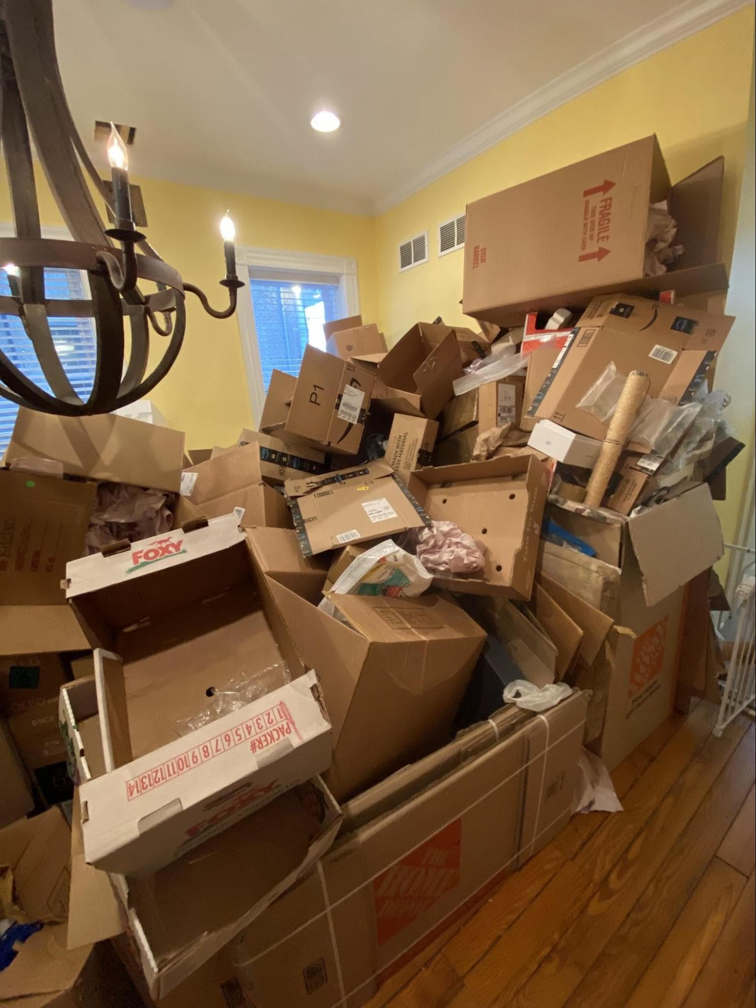 Furniture & Junk Removal